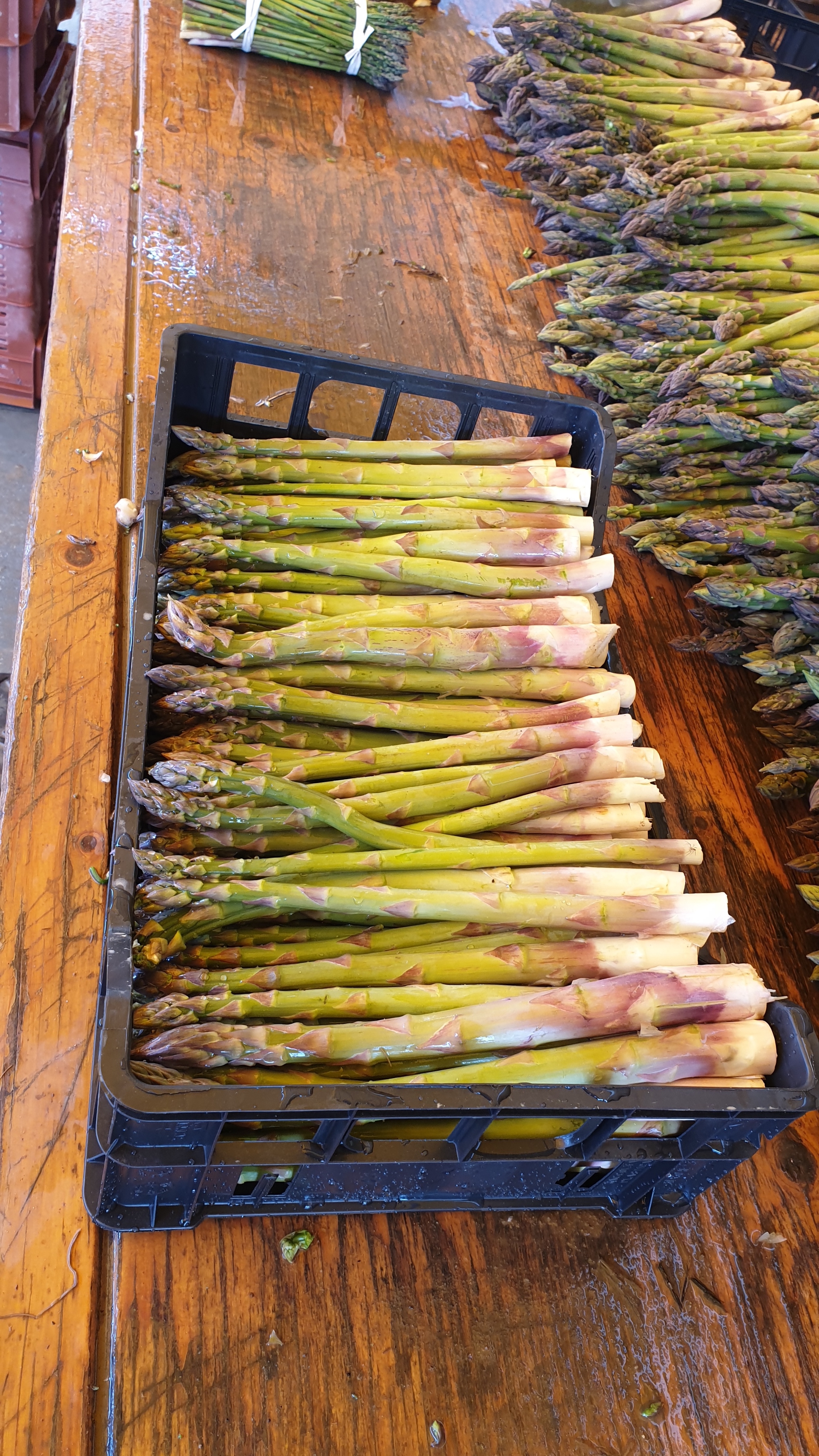 La coltivazione degli asparagi: macchinari e curiosit&agrave;
