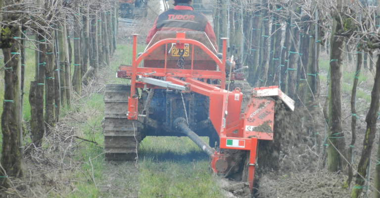 Vendita di scavafossi agricoli